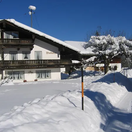 Apartment Winkllehen *