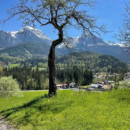 Apartment Winkllehen *