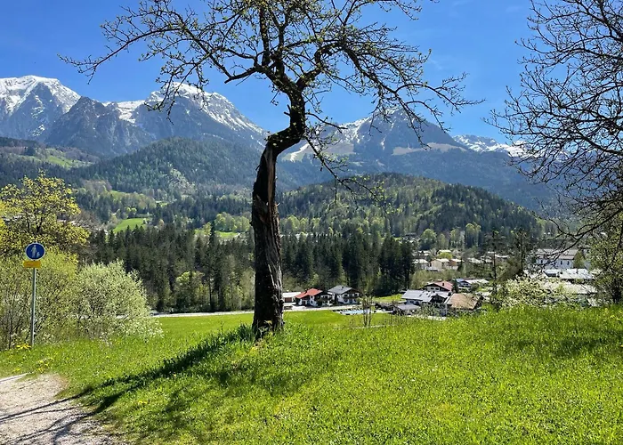 Apartamento Winkllehen *